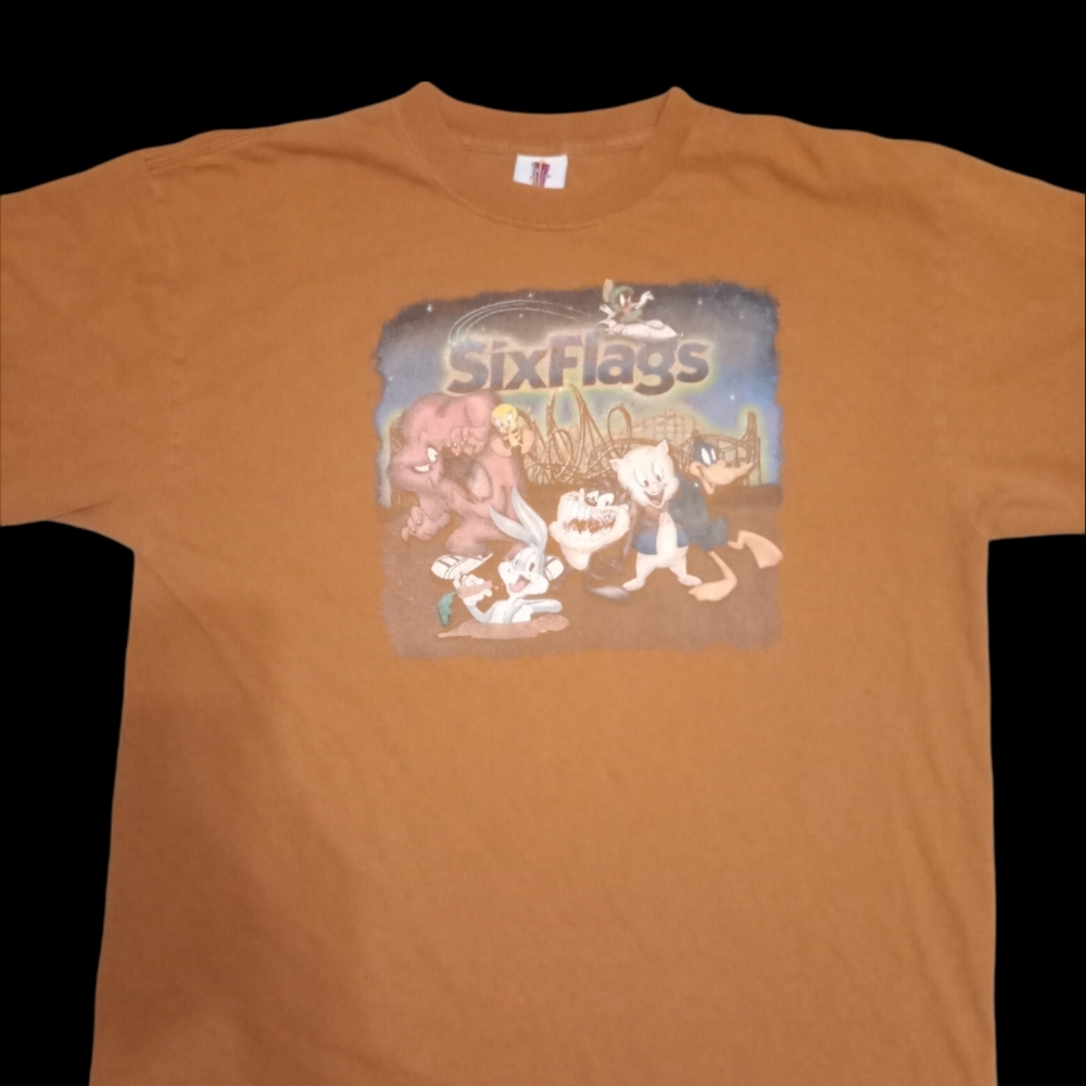 Vintage 90s six flags shirt with looney tunes